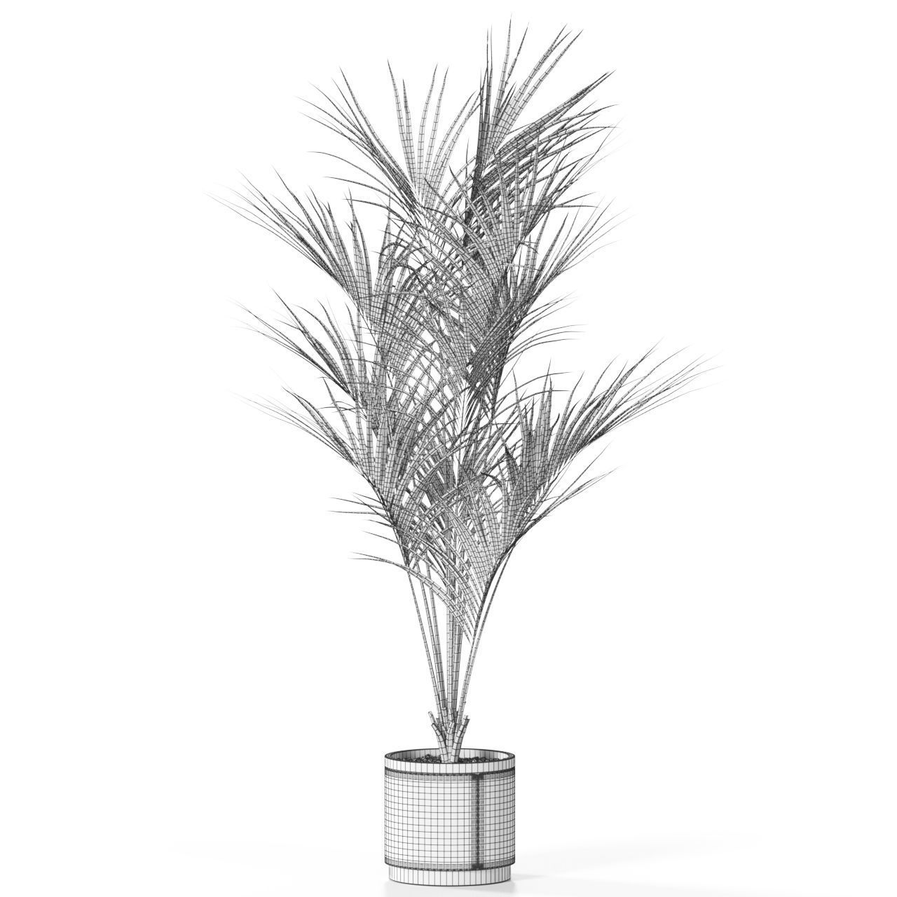 Plants collection 617 3D model_3