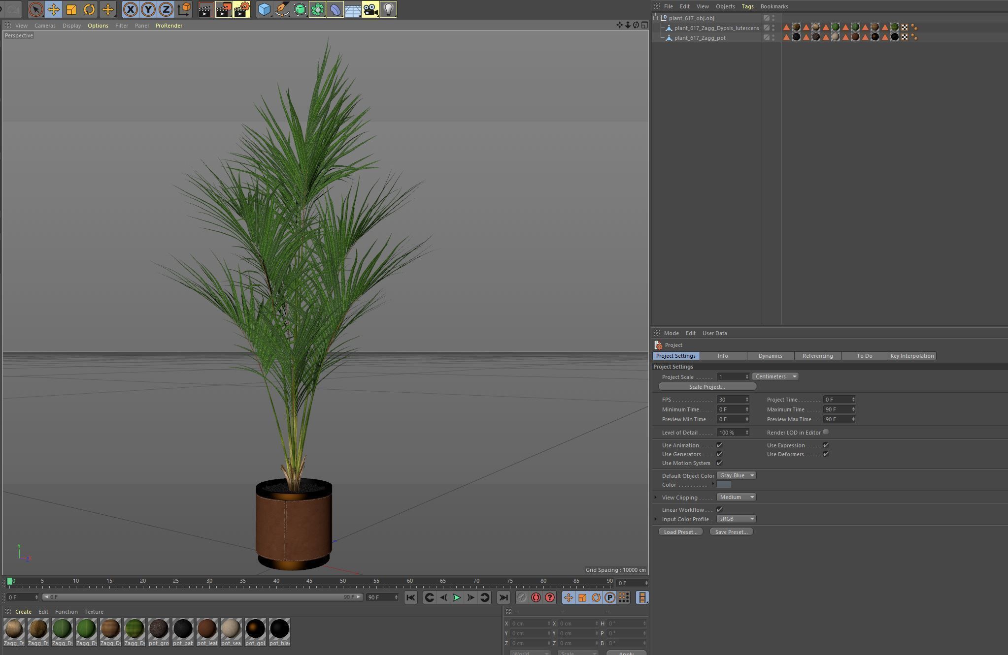 Plants collection 617 3D model_6