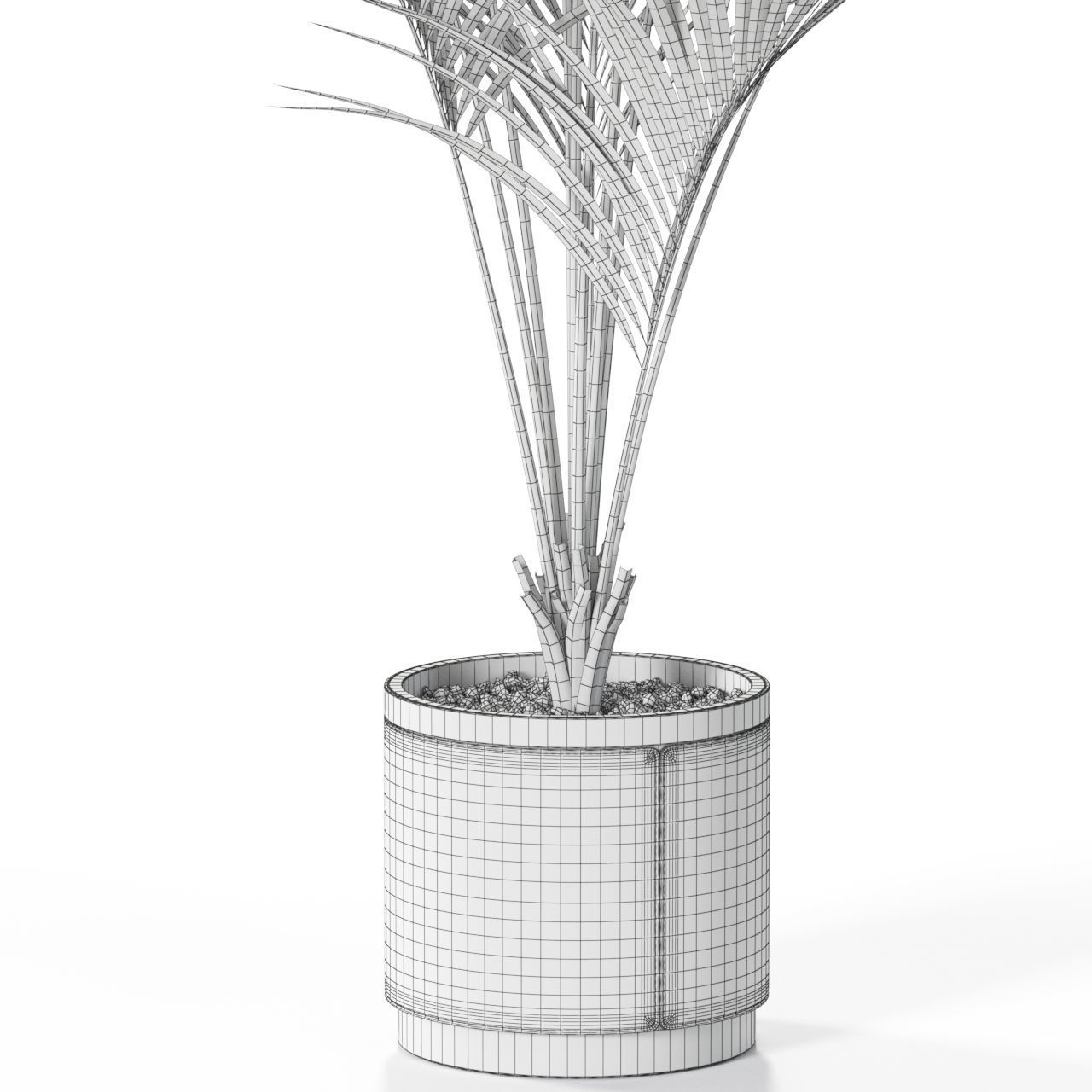 Plants collection 617 3D model_4