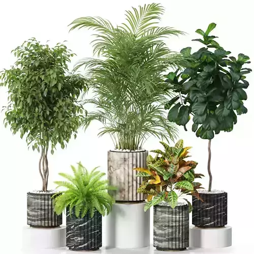 Plants collection 619 3D model