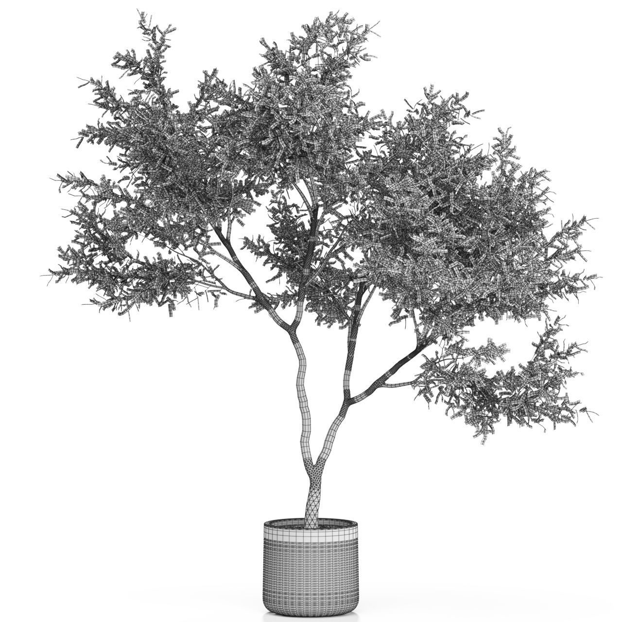 Plants collection 621 3D model_3