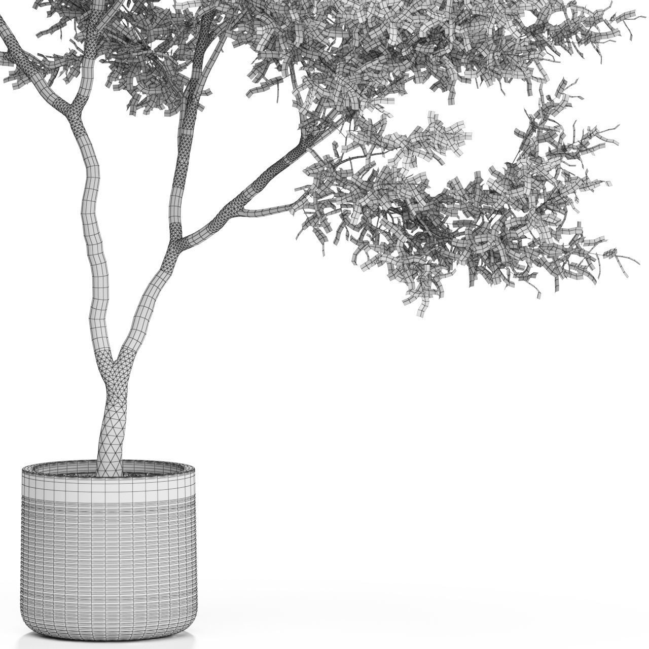 Plants collection 621 3D model_2