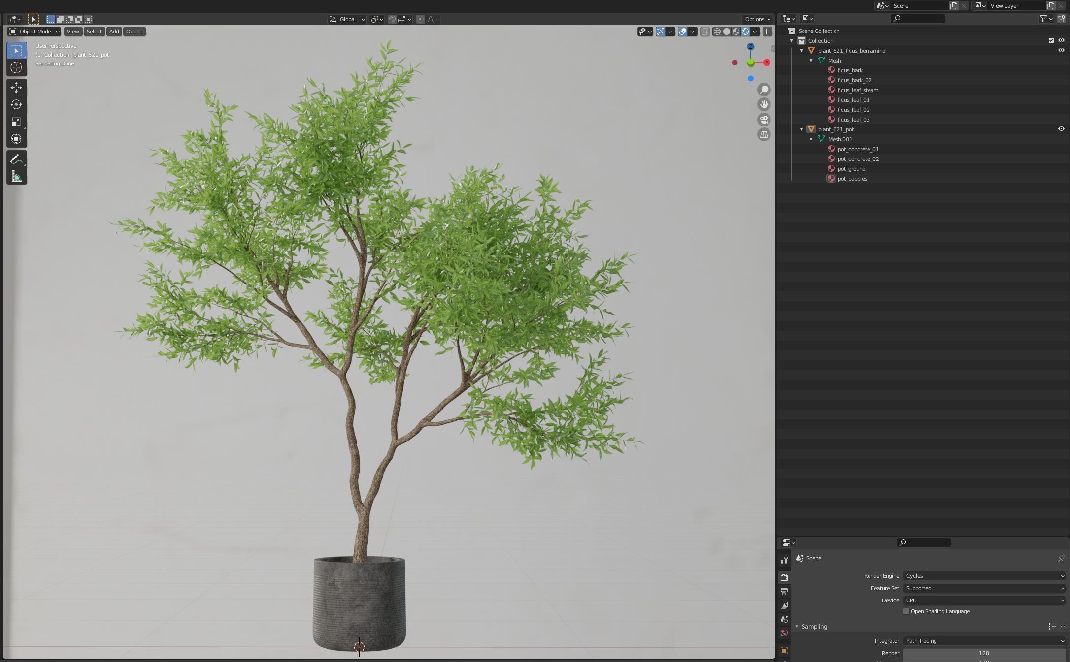 Plants collection 621 3D model_4