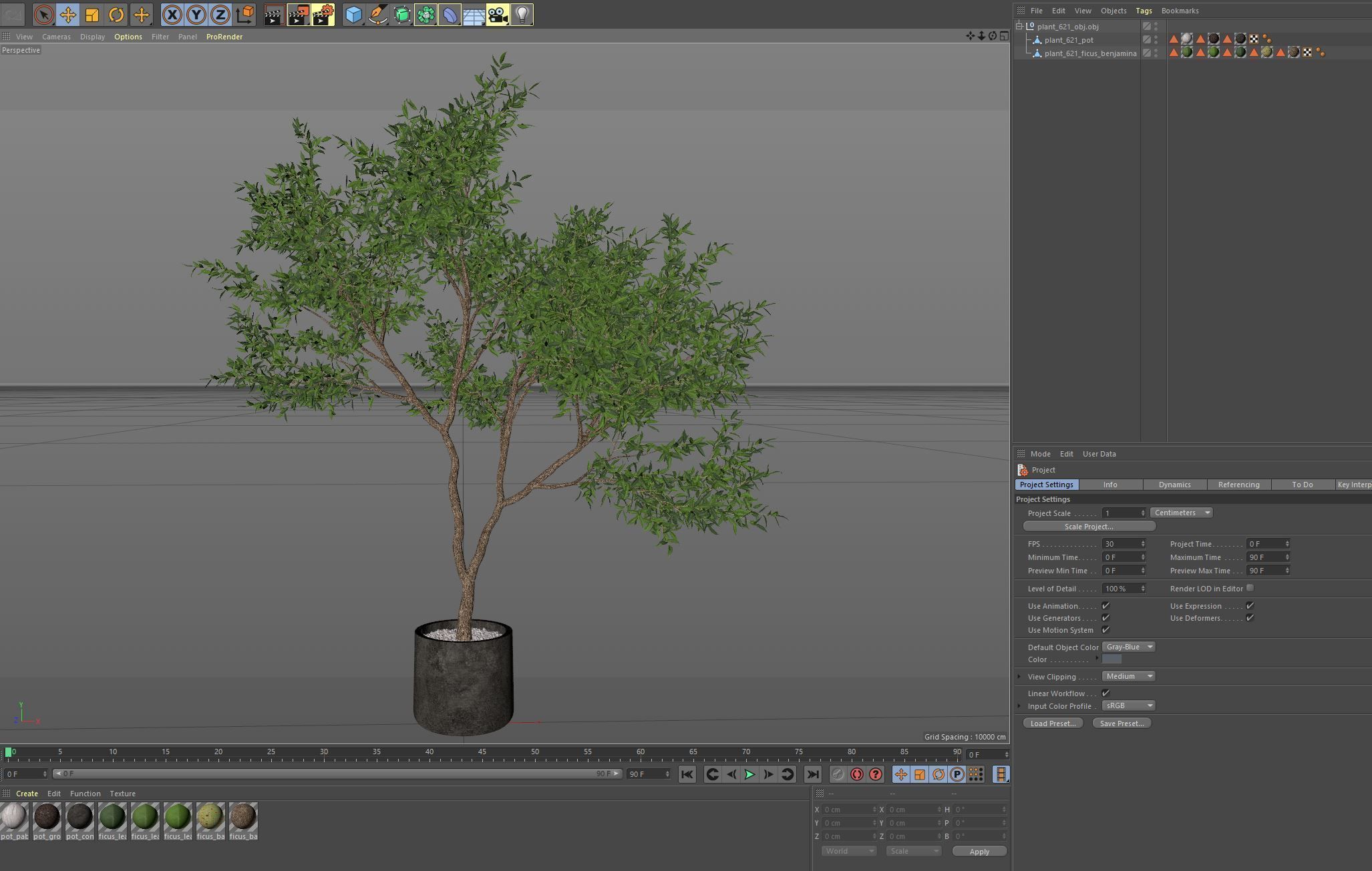 Plants collection 621 3D model_5