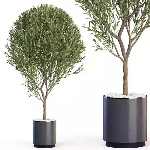 Plants collection 622