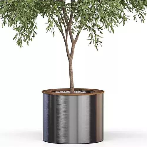 Plants collection 629