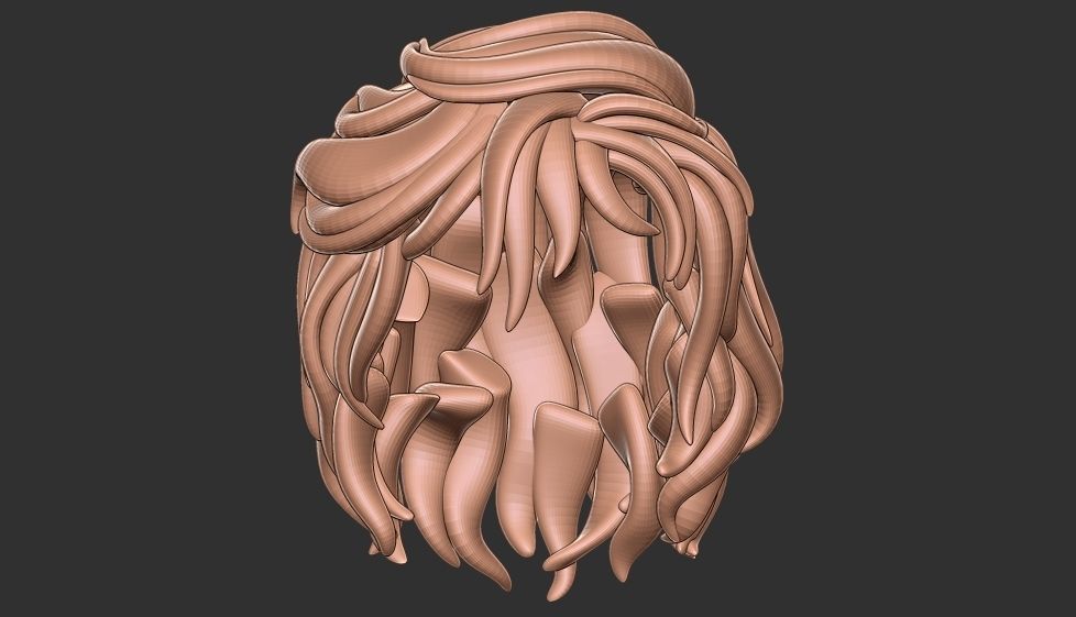 hair 25 3D model_1