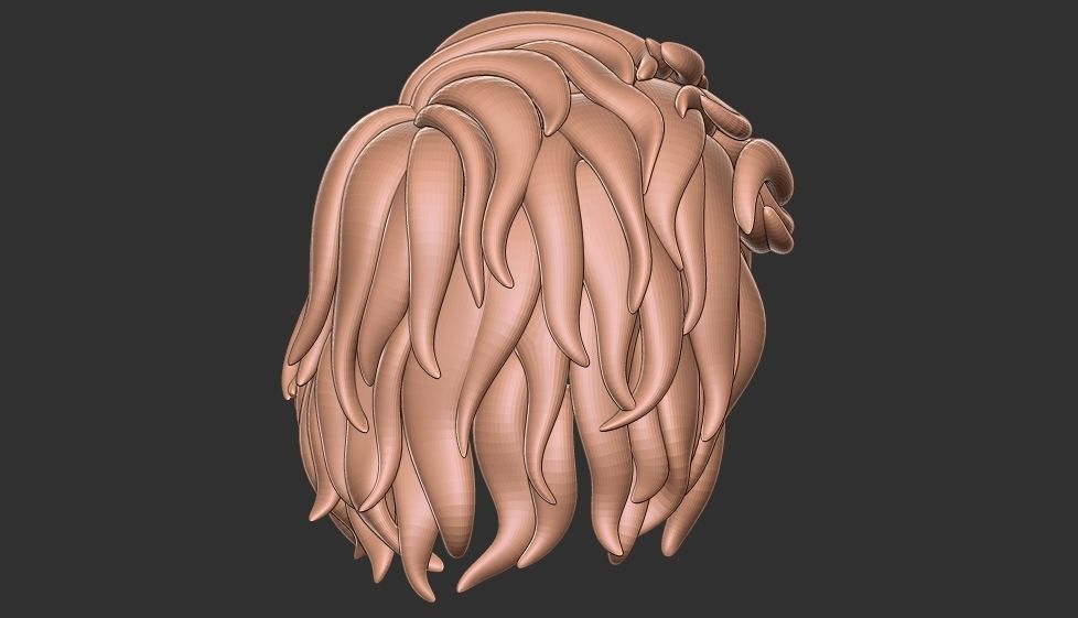 hair 25 3D model_10
