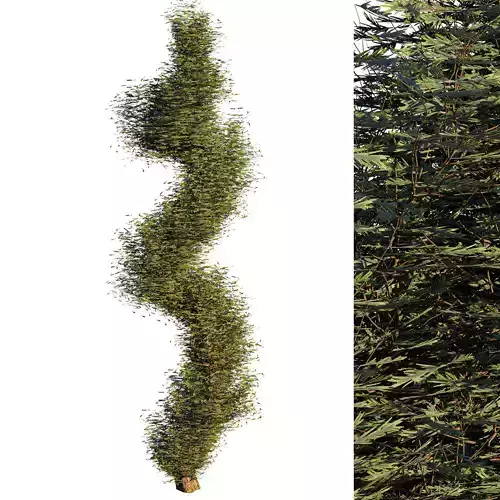 fut tree 3D model