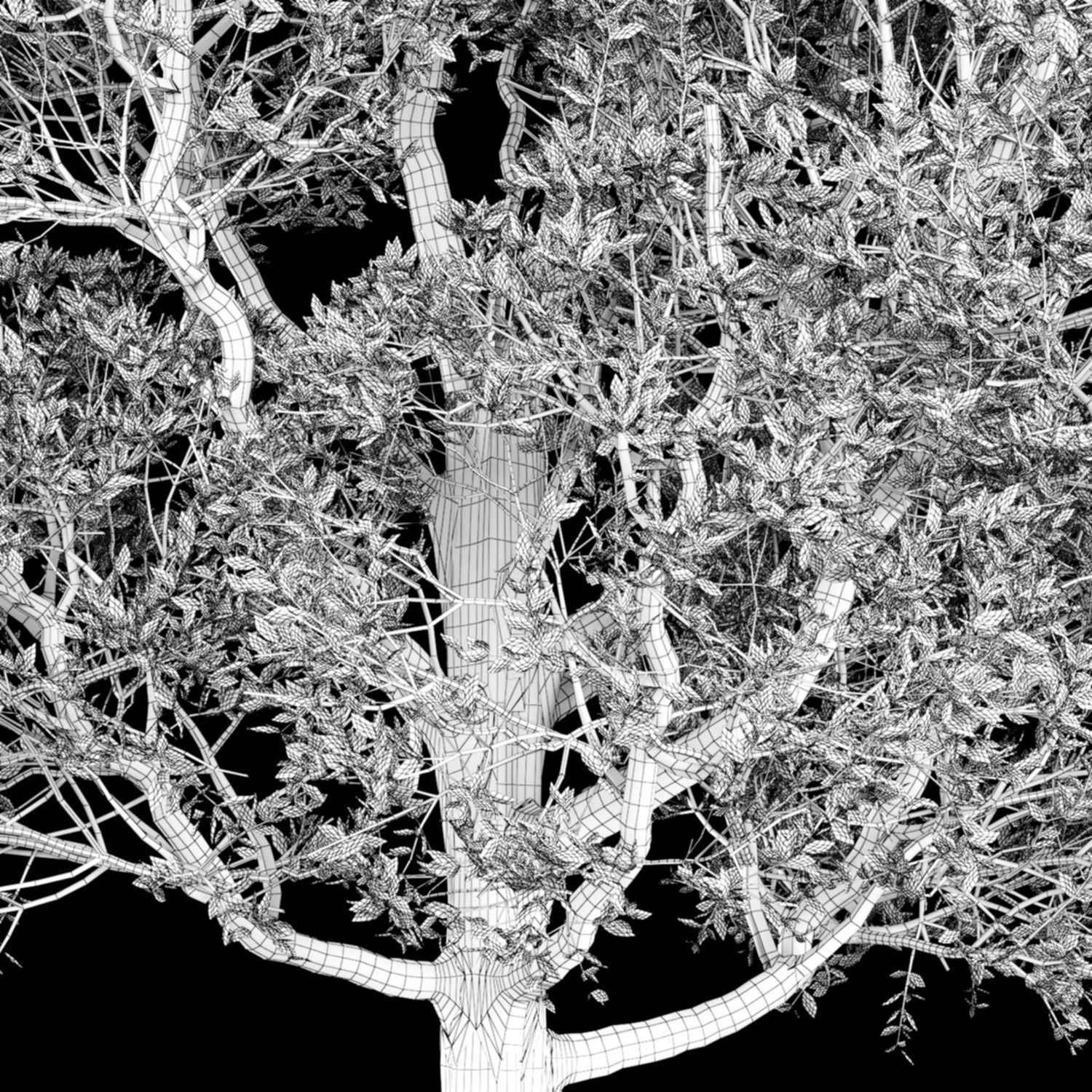 Tree for exterior design 3D model_3