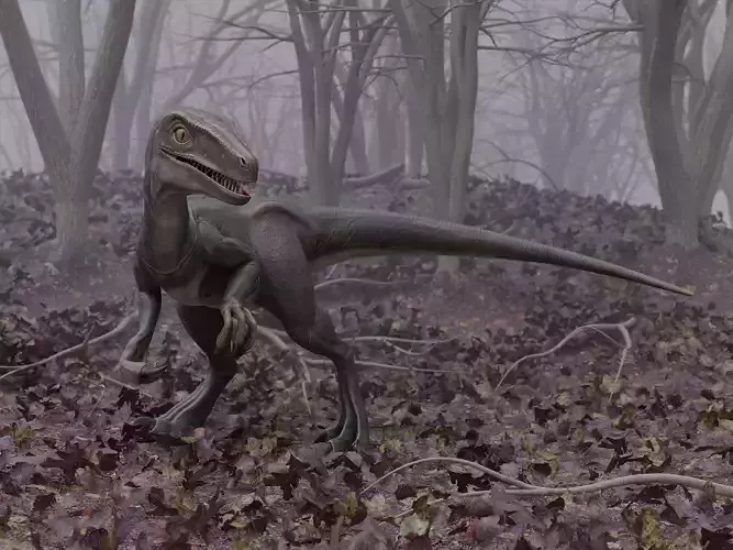 Velociraptor t-rex dinosaur