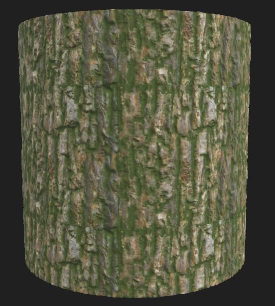 bark for forest Texture_5