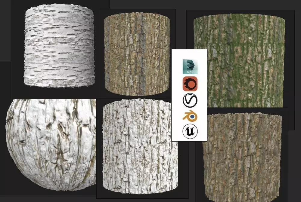 bark for forest Texture_0