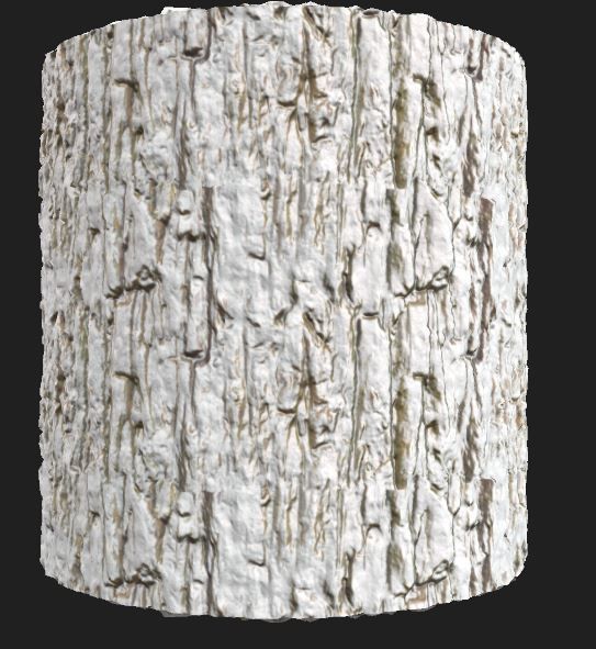 bark for forest Texture_6