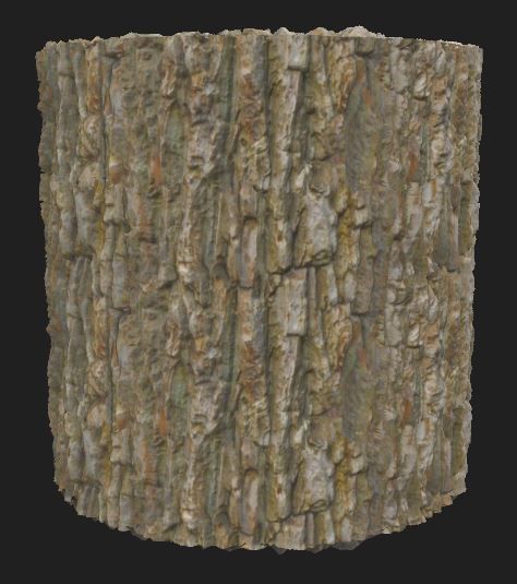 bark for forest Texture_4