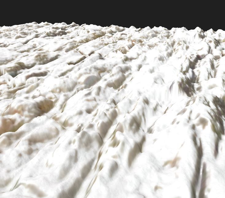 bark for forest Texture_3