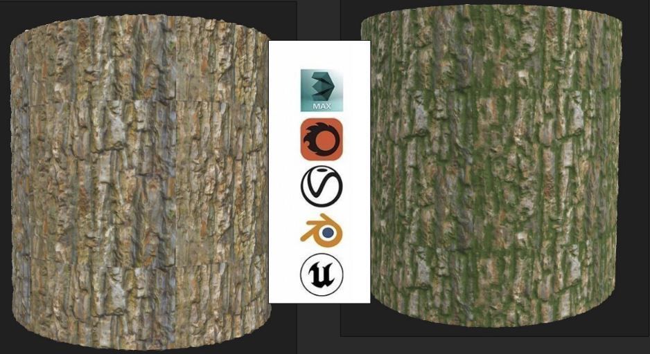 bark for forest Texture_1