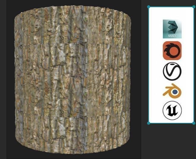 bark for forest Texture_2