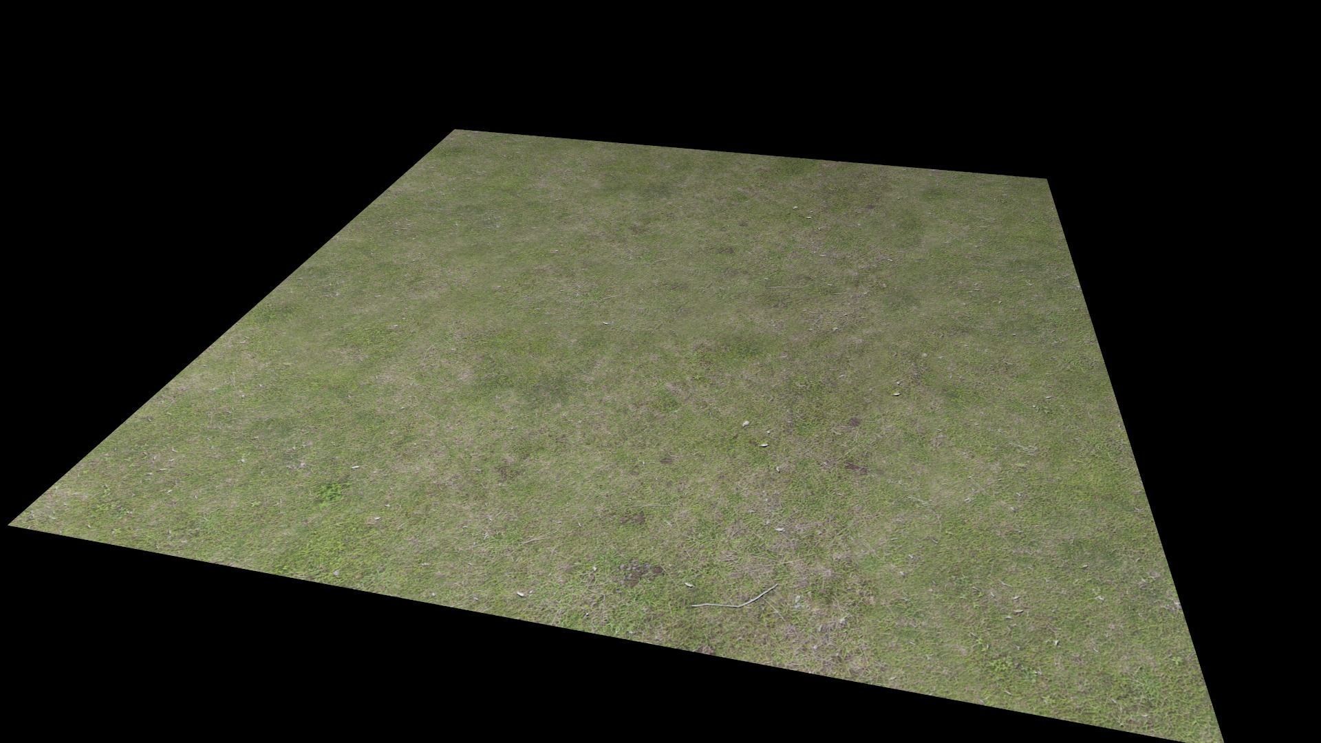 Grass square of Free low-poly 3D model_7