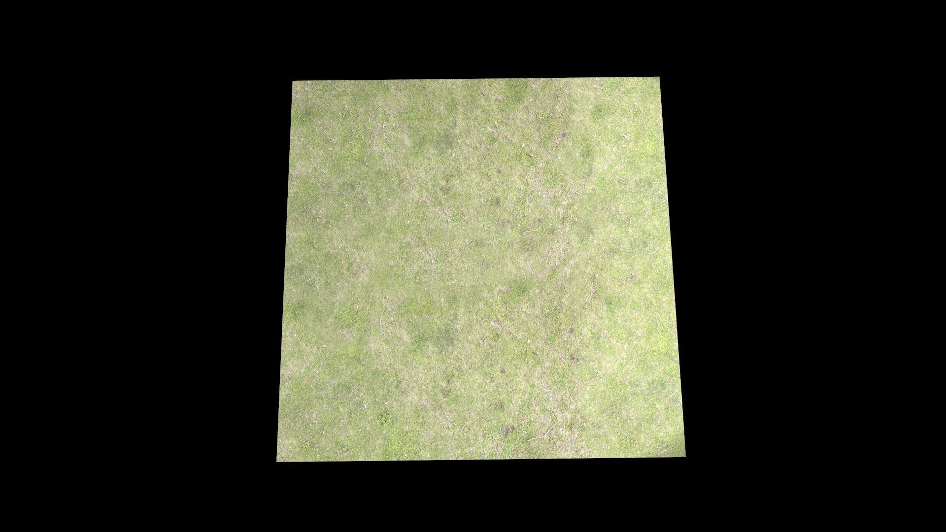 Grass square of Free low-poly 3D model_12