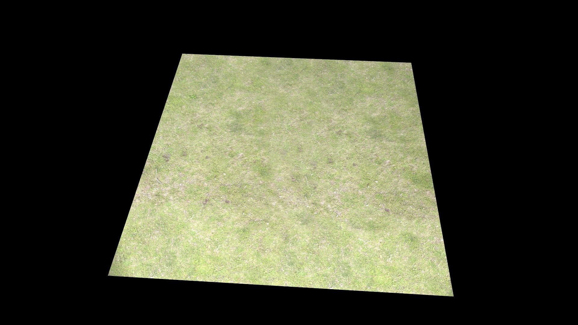 Grass square of Free low-poly 3D model_8