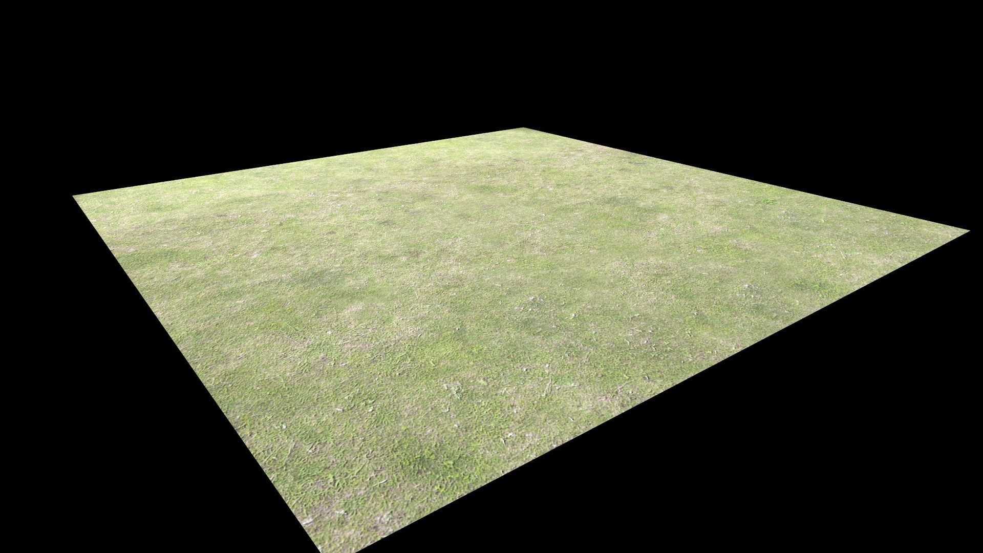 Grass square of Free low-poly 3D model_13