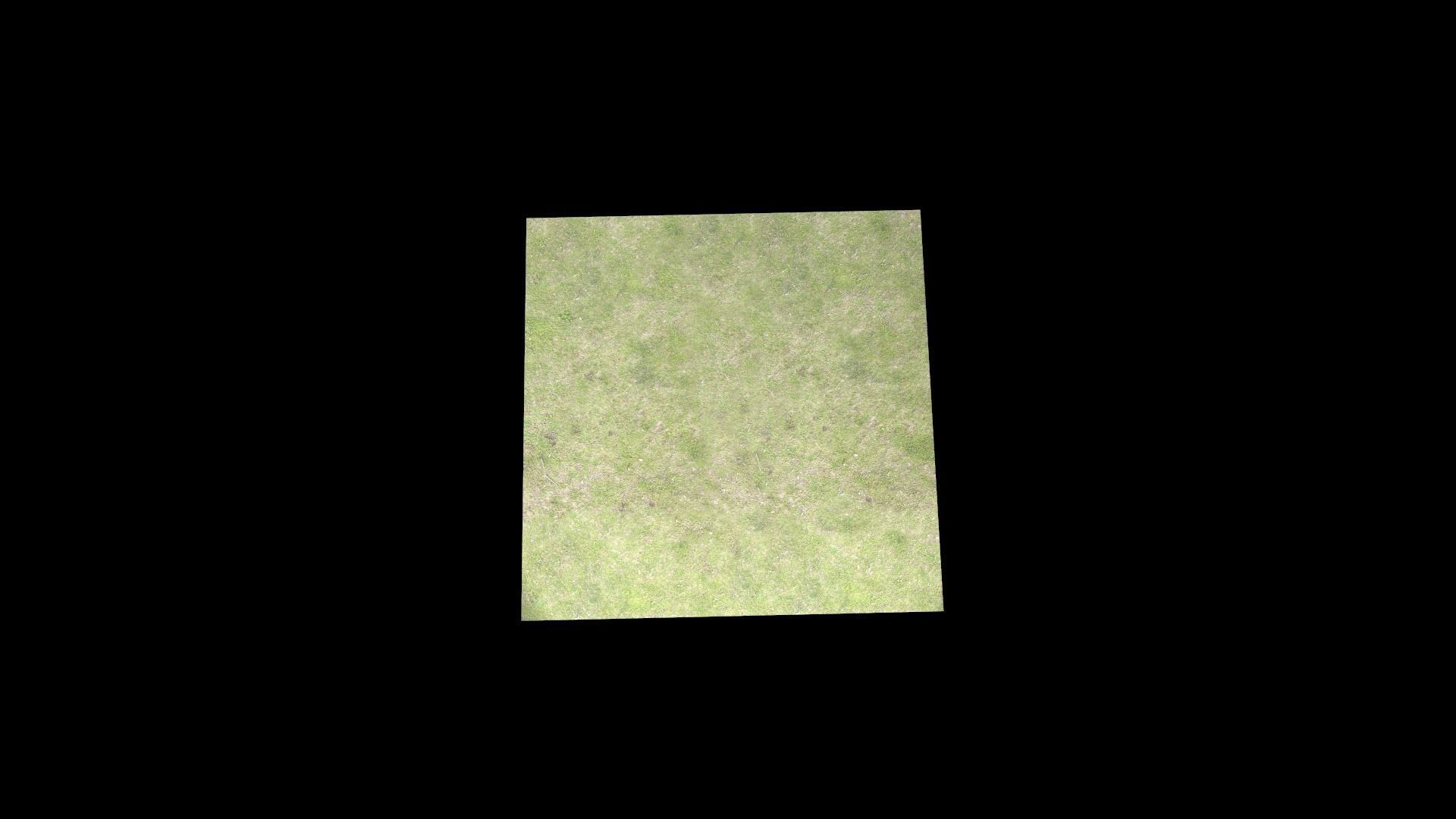 Grass square of Free low-poly 3D model_9