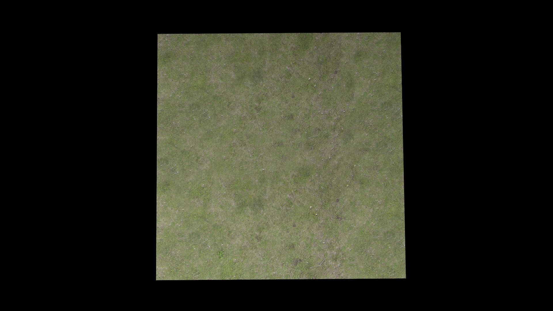 Grass square of Free low-poly 3D model_2