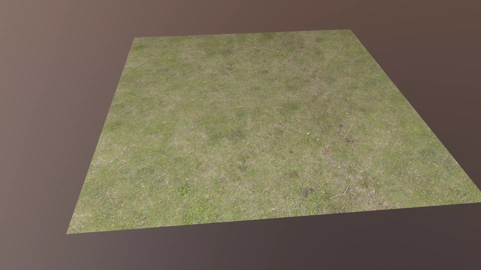 Grass square of Free low-poly 3D model_0