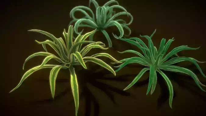 Tree Octopus Agave Low-poly 3D model