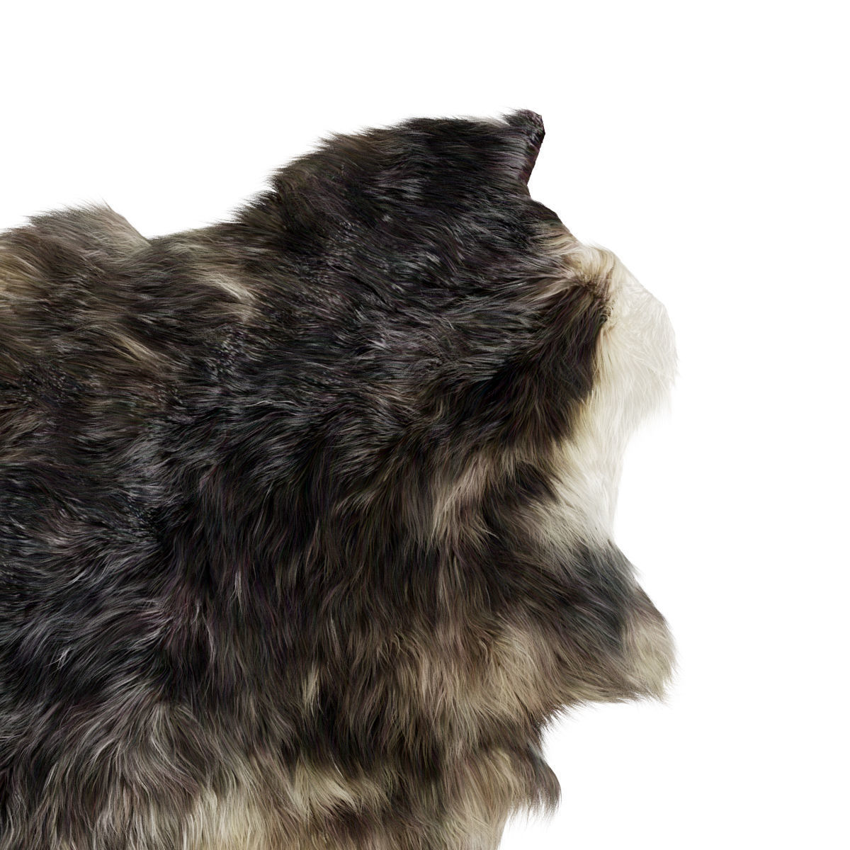 Sheepskin skin 3D model_3