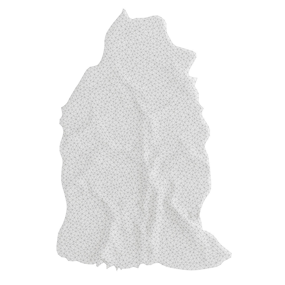 Sheepskin skin 3D model_4