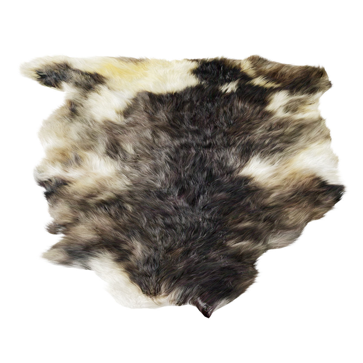 Sheepskin skin 3D model_1