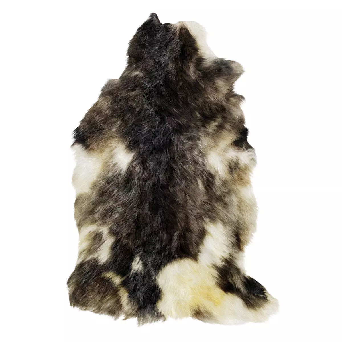 Sheepskin skin 3D model_0