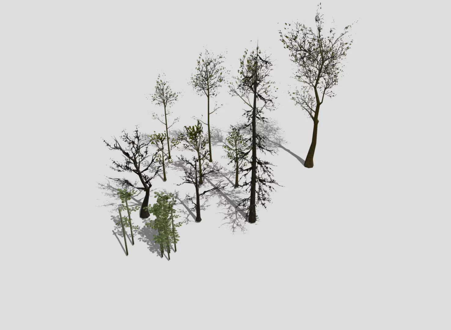  Lowpoly trees pack 3D model_0