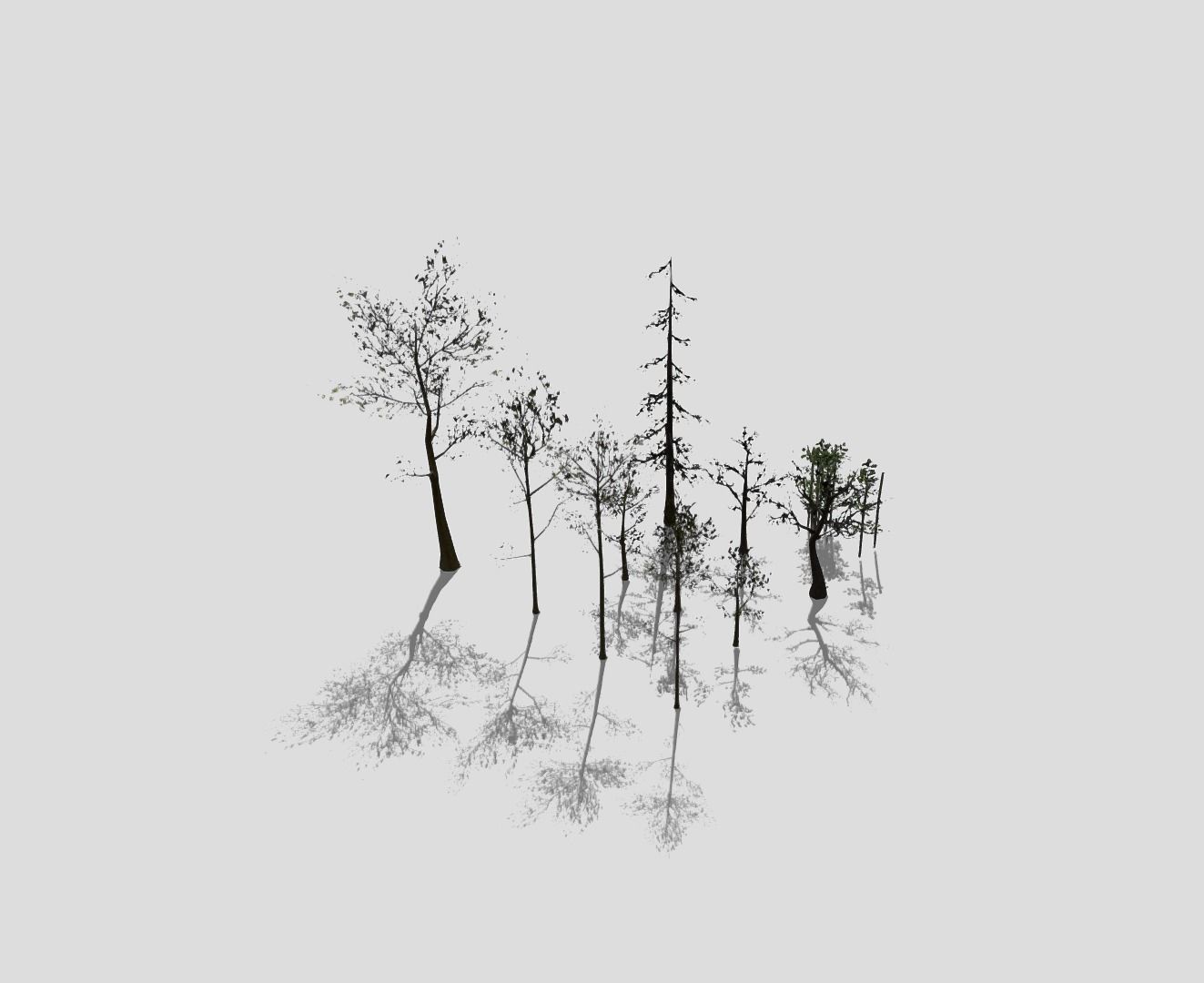  Lowpoly trees pack 3D model_2