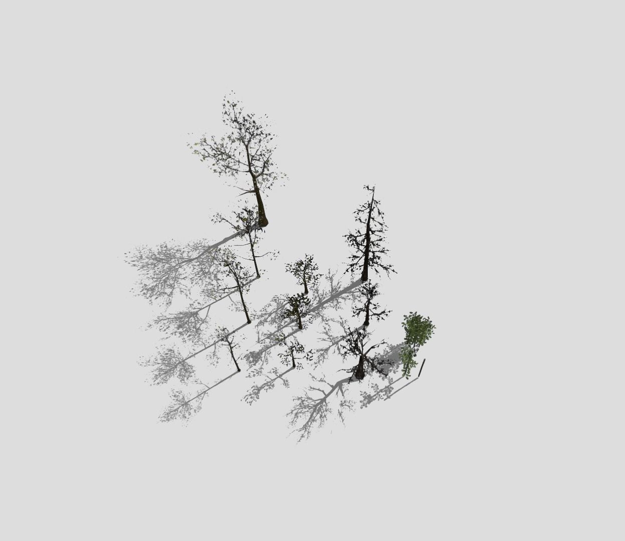  Lowpoly trees pack 3D model_1