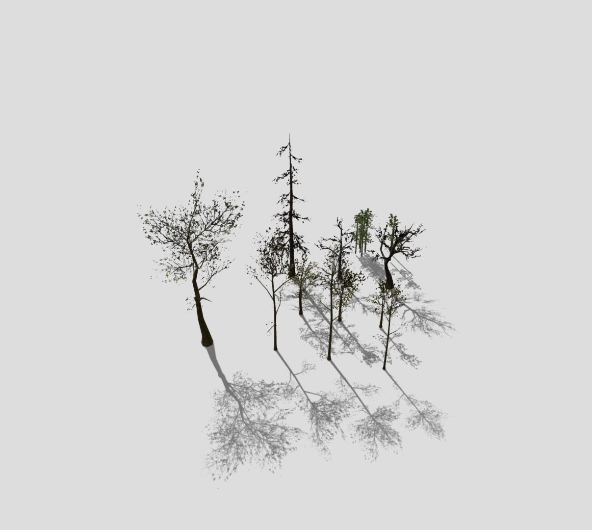  Lowpoly trees pack 3D model_3