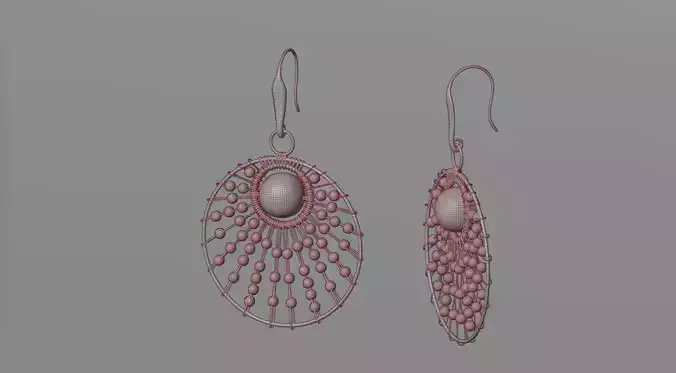 Earrings 18