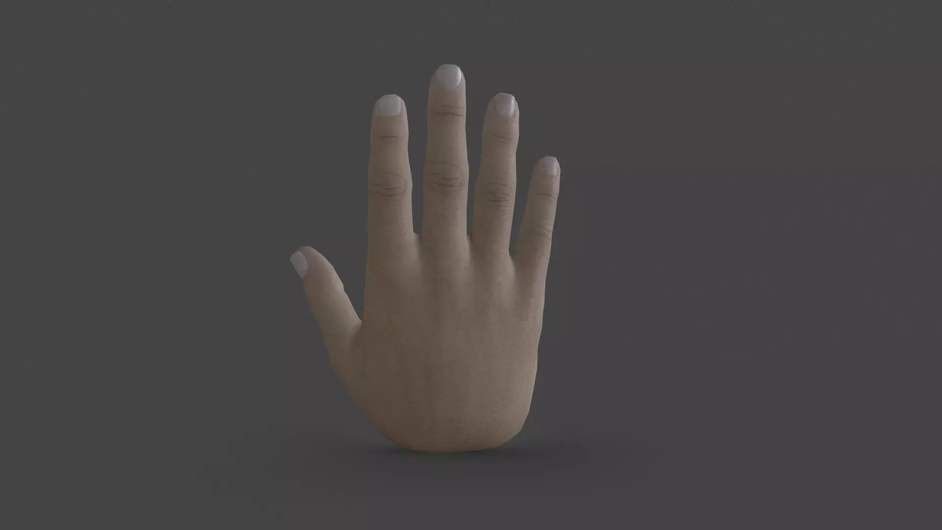 HAND-031 Rigged right hand Low-poly 3D model_0