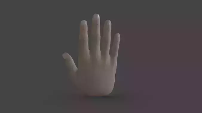 HAND-031 Rigged right hand