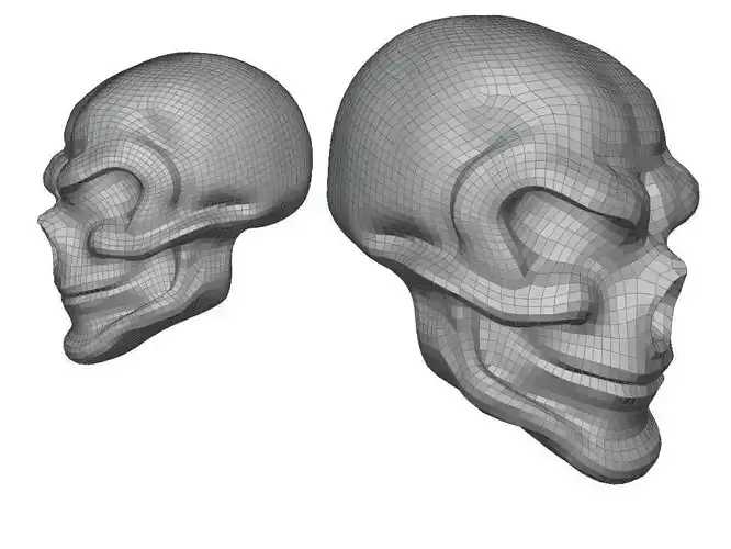 base mesh skull