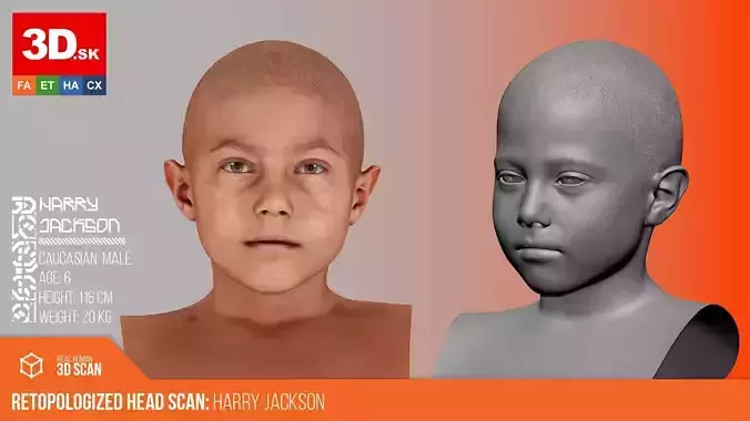 Retopologized Male 3D Head scan - Harry Jackson 3D model