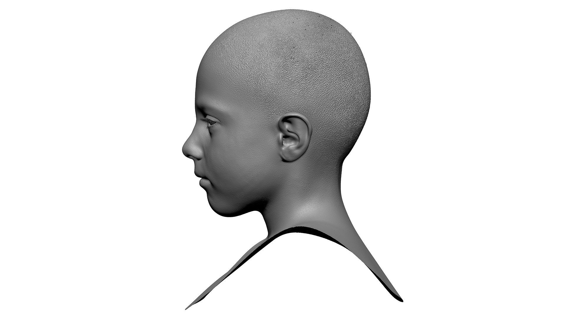 Retopologized Male 3D Head scan - Harry Jackson 3D model_11