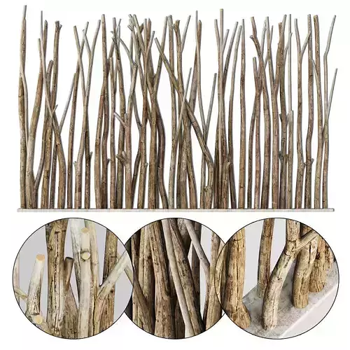 Branch old screen n2