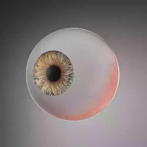 Eye real