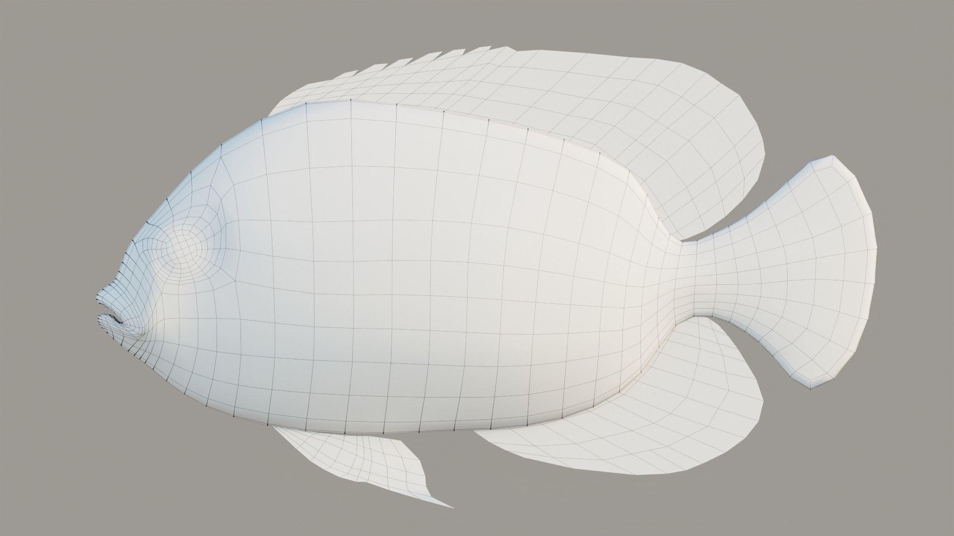 Marine fish Low-poly 3D model_5