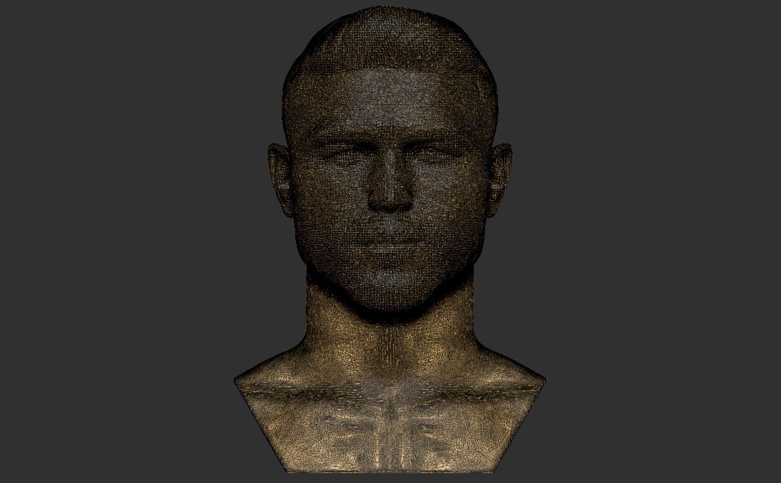 Canelo Alvarez bust for 3D printing 3D print model_29