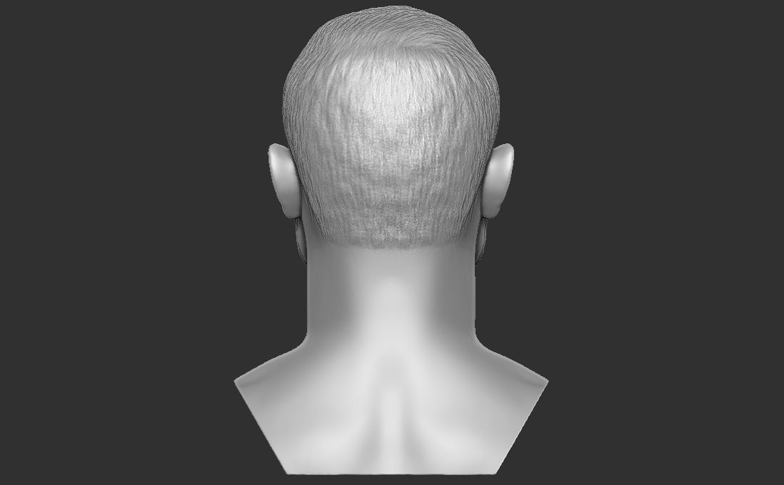 Canelo Alvarez bust for 3D printing 3D print model_11