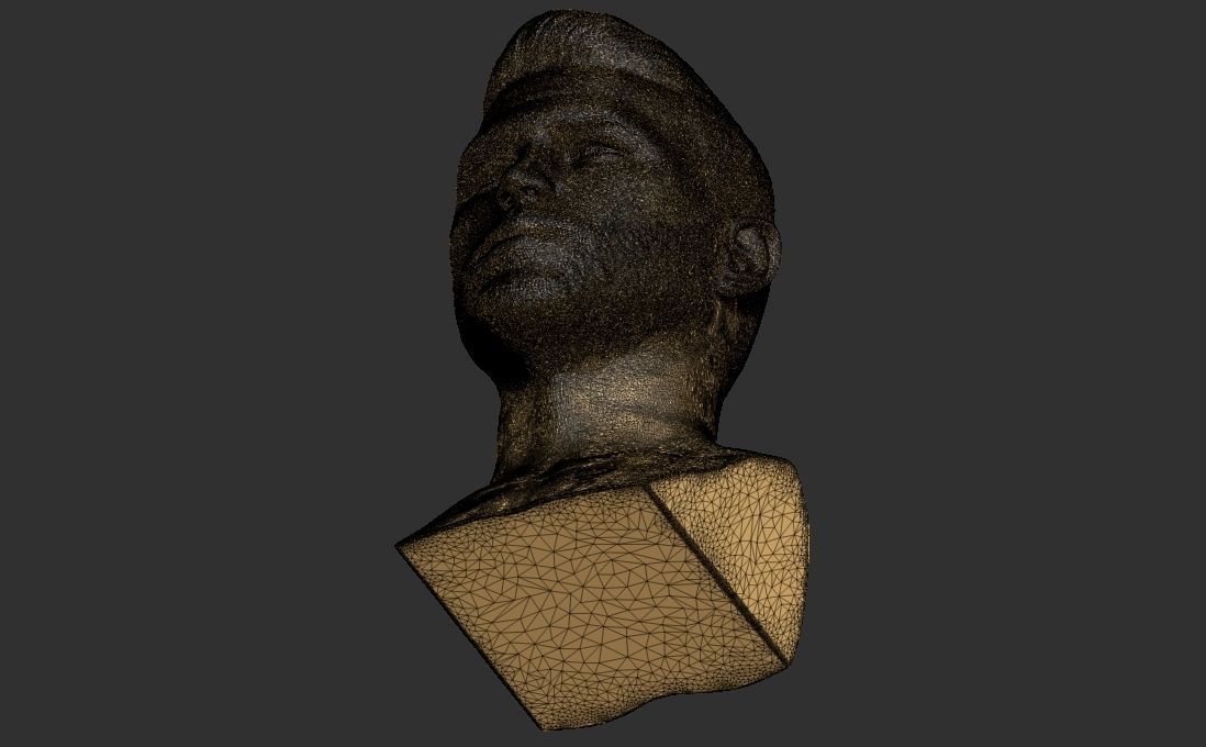 Canelo Alvarez bust for 3D printing 3D print model_34